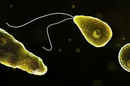 Naegleria Fowleri, known as the brain eating amoeba